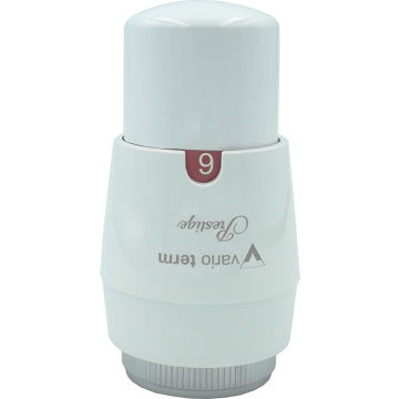 Głowica Prestige GS.02-06C 000M636A006 Biały