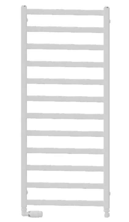 LADDER